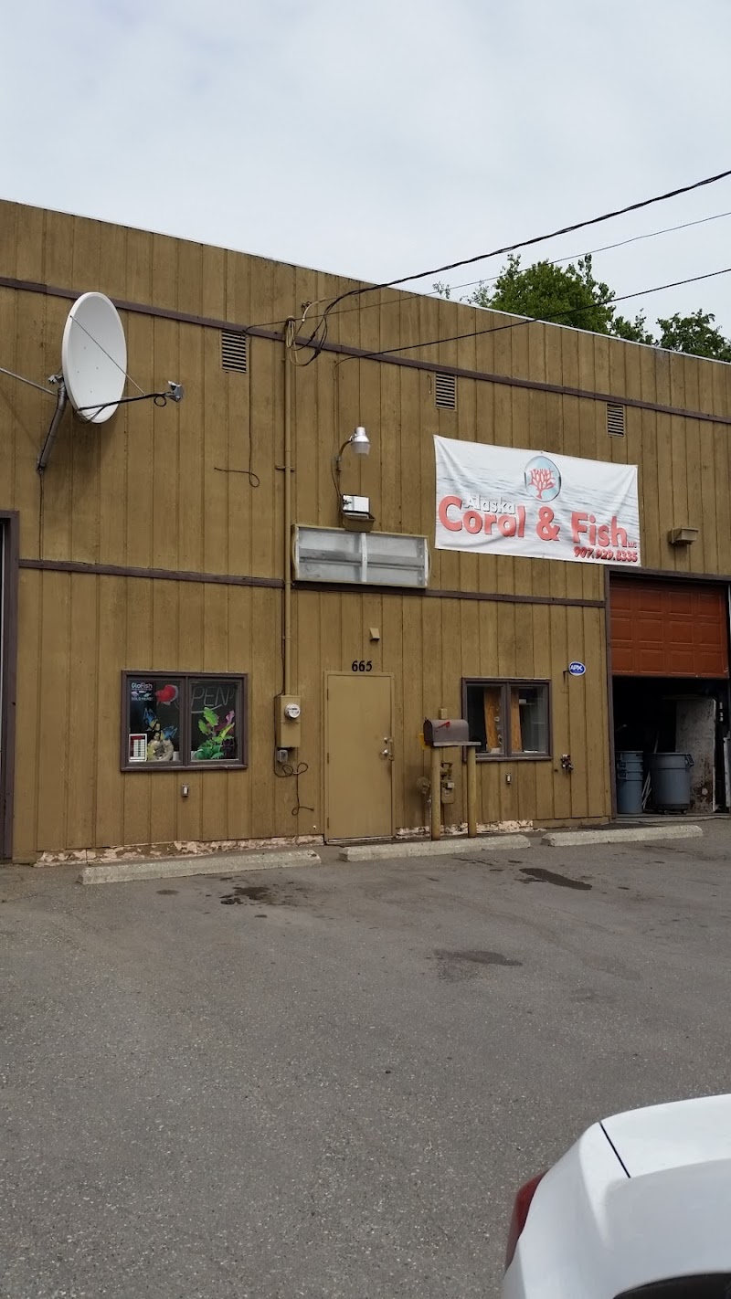 Alaska Coral & Fish - Photo 1