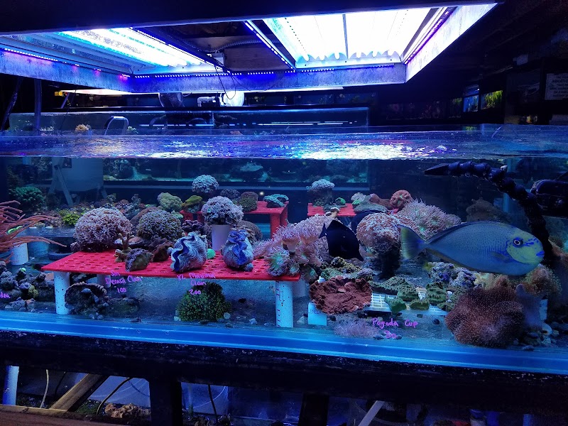 Alaska Coral & Fish - Photo 4