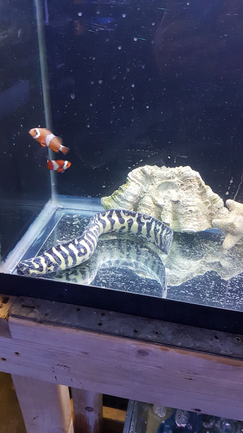 Alaska Coral & Fish - Photo 5