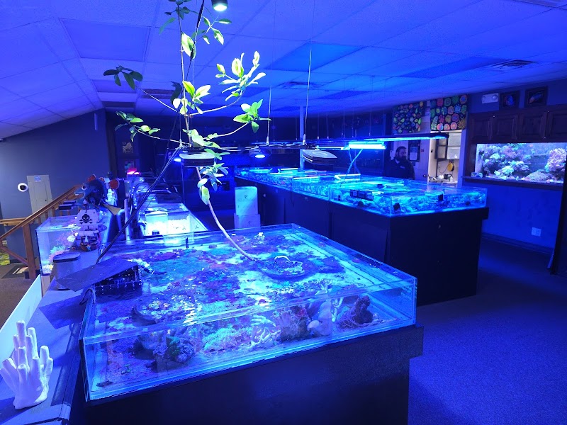 Ultimate Reefs & Aquariums - Photo 2