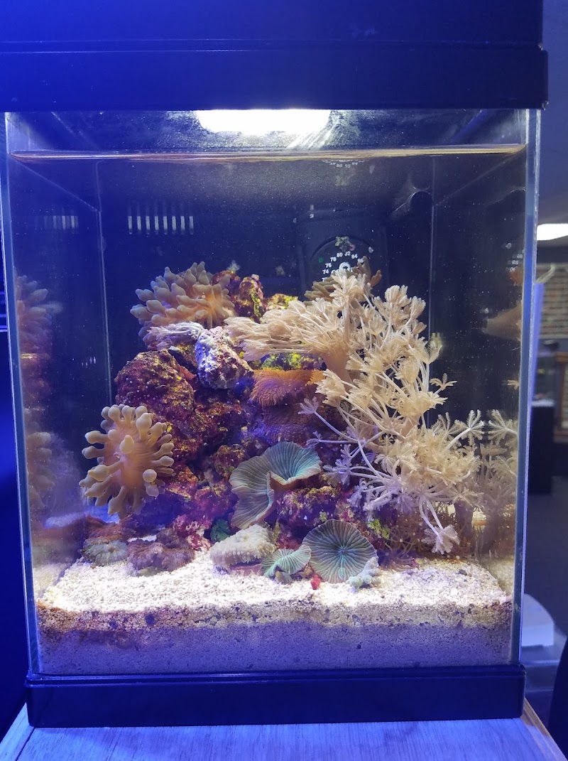 Ultimate Reefs & Aquariums - Photo 5