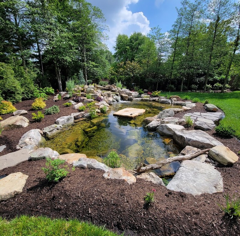 Xstream Aquatics - Photo 3