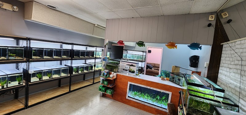 J&N Aquatics - Photo 2