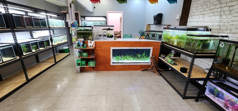 J&N Aquatics - Photo 5