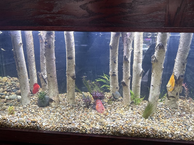 Pure Fish Magic LLC - Photo 3