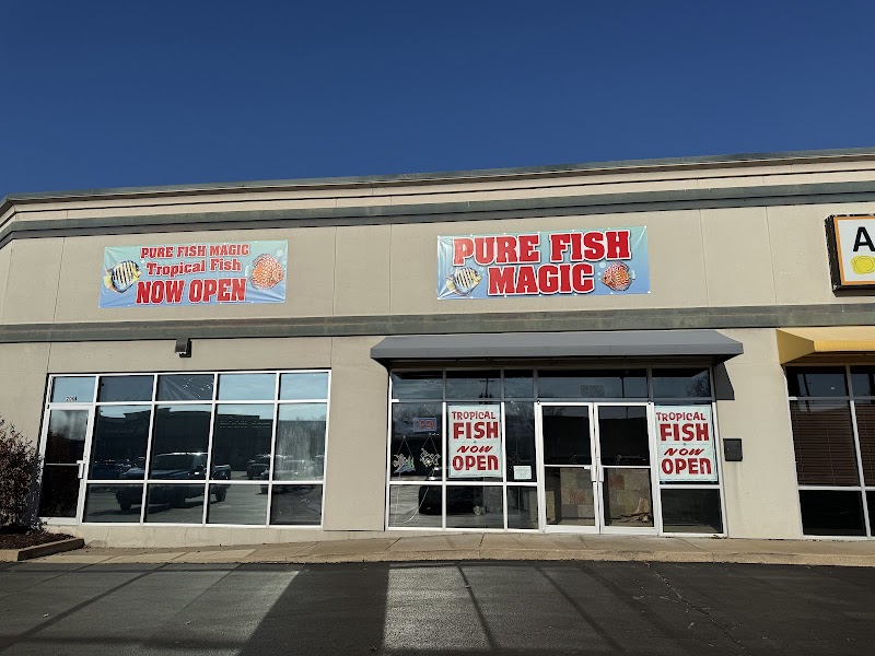 Pure Fish Magic LLC - Photo 4