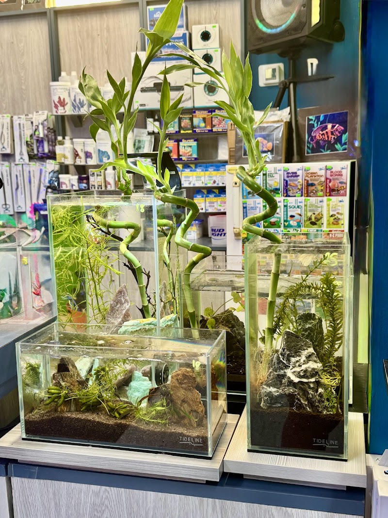 Fleur de Sea Aquatics LLC - Photo 2