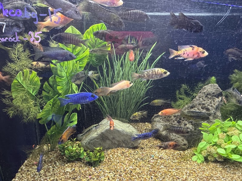Fleur de Sea Aquatics LLC - Photo 5