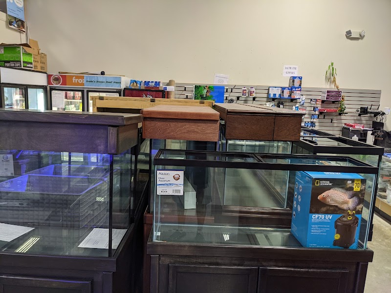 Louisiana Fish Store - Photo 2