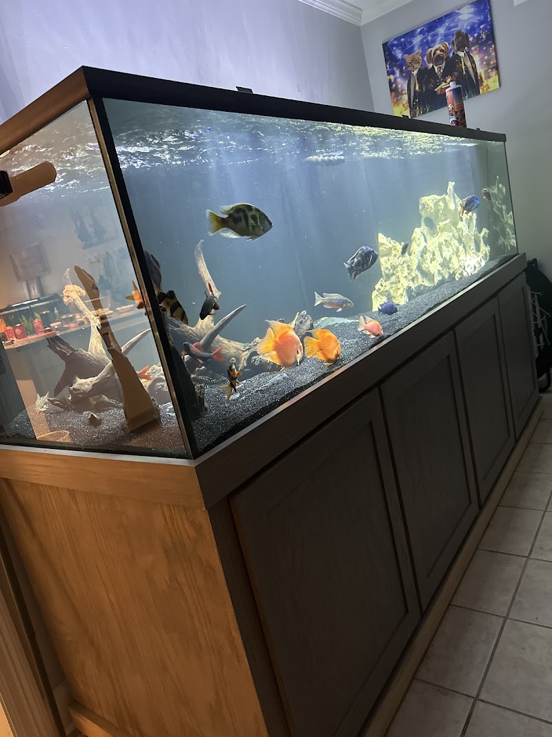 Louisiana Fish Store - Photo 4