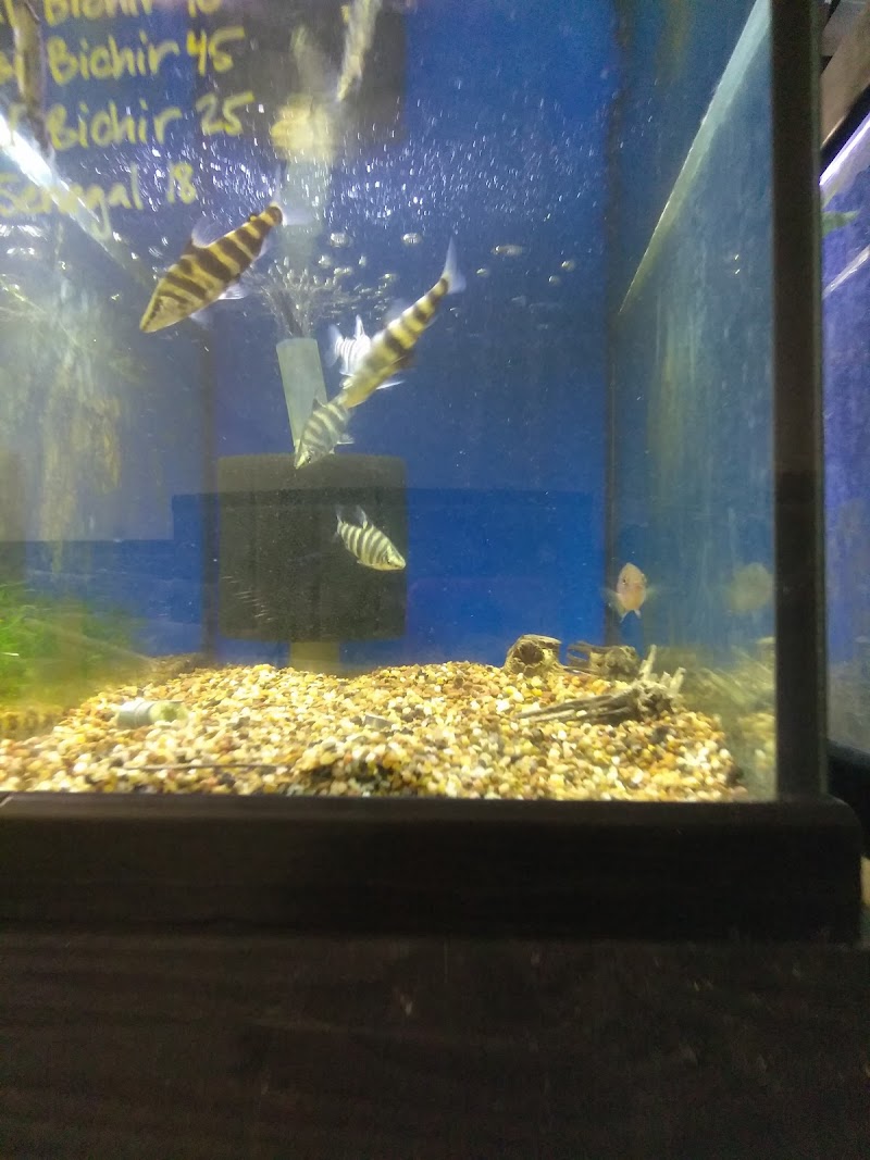 Louisiana Fish Store - Photo 5