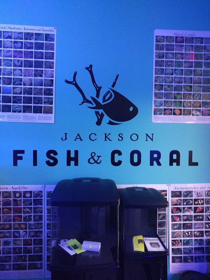 Jackson Fish and Coral - Photo 1