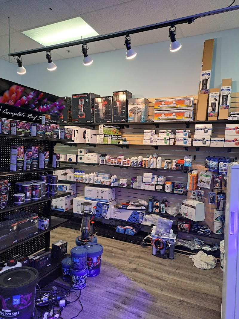 Jackson Fish and Coral - Photo 2