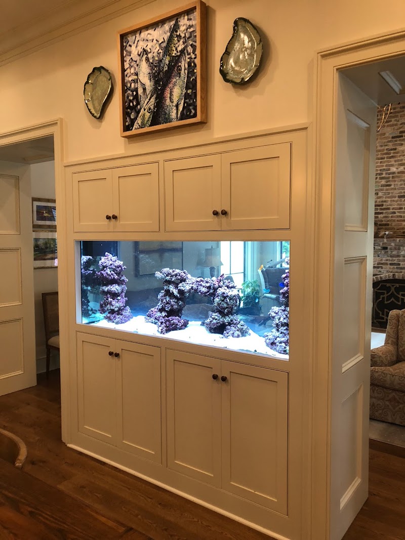 Jackson Fish and Coral - Photo 4