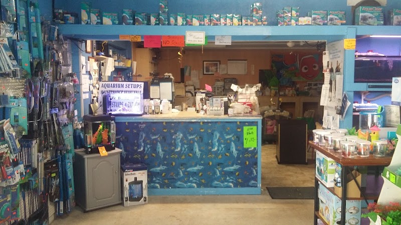 Ken's Tropical Fish - Photo 1