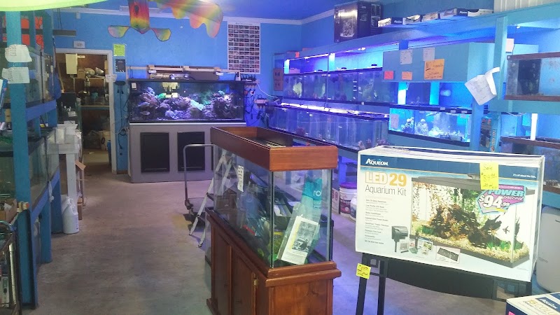 Ken's Tropical Fish - Photo 2