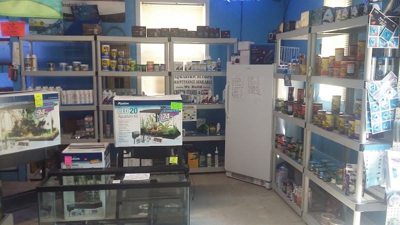 Ken's Tropical Fish - Photo 4