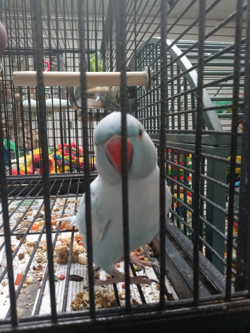 Pet Zone - Photo 2