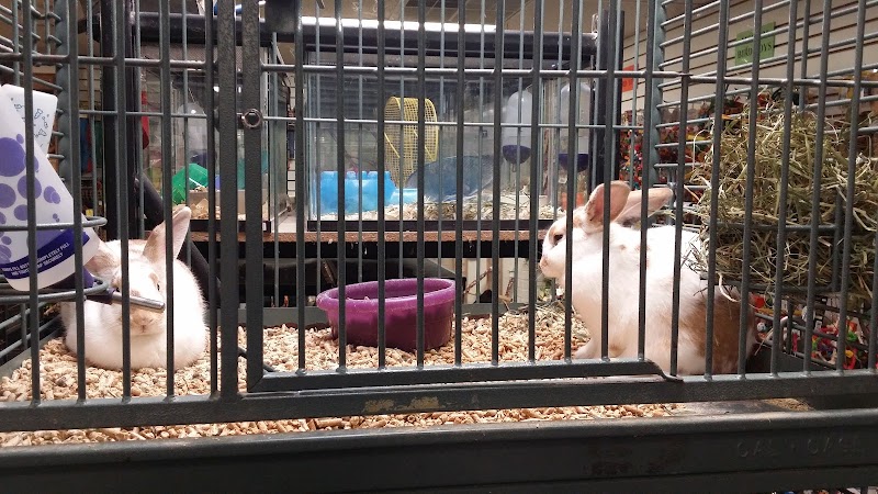 Pet Zone - Photo 4