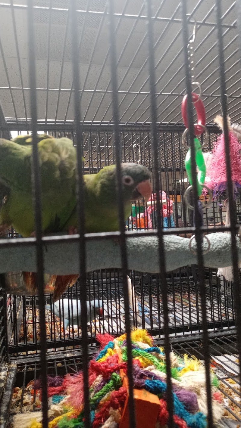 Pet Zone - Photo 5