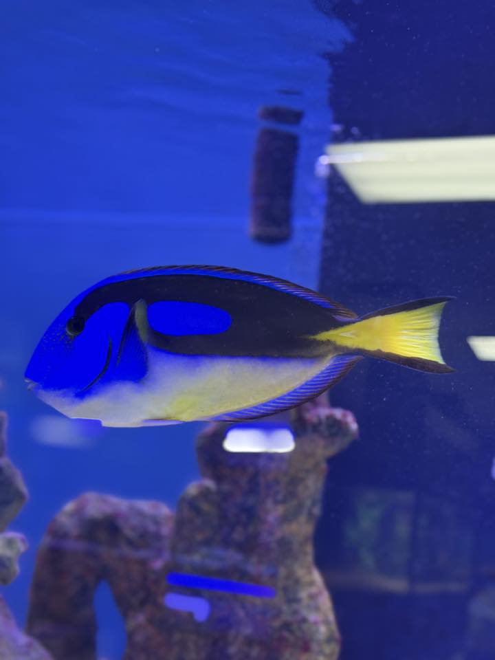 Aquatic Specialties,Inc. - Photo 5