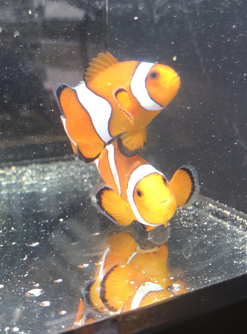 The Aqua-Arium, LLC - Photo 2