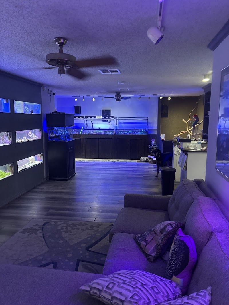 Coral Connection - Photo 1