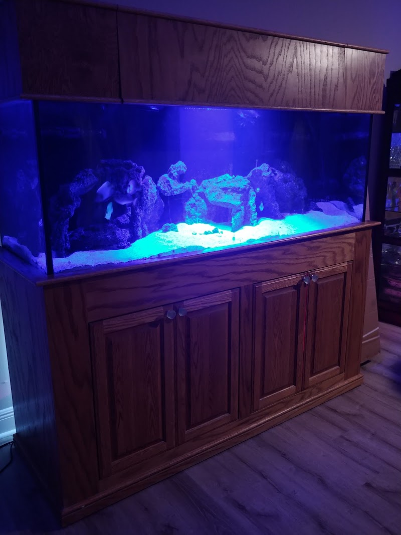 Coral Connection - Photo 5