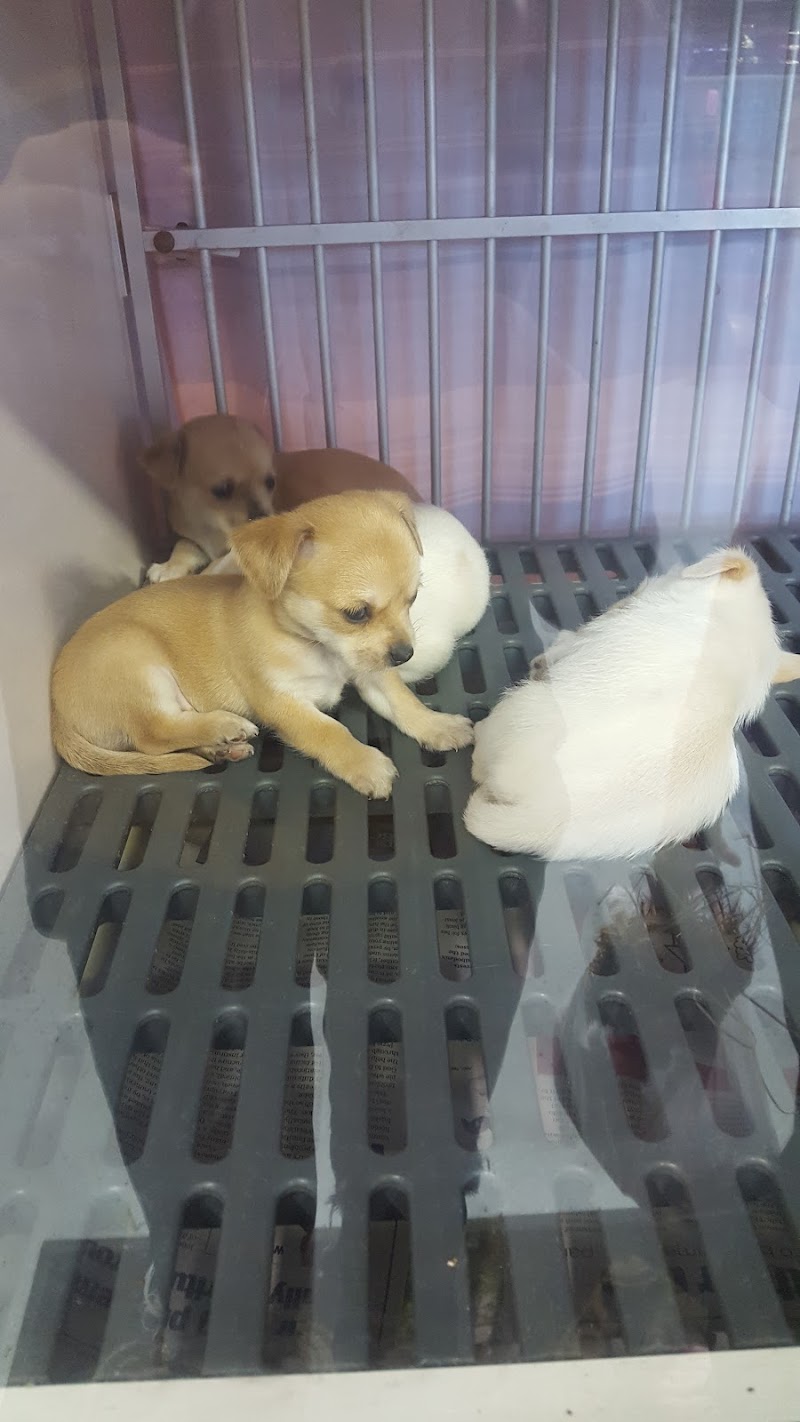 Pet Express Inc. - Photo 4