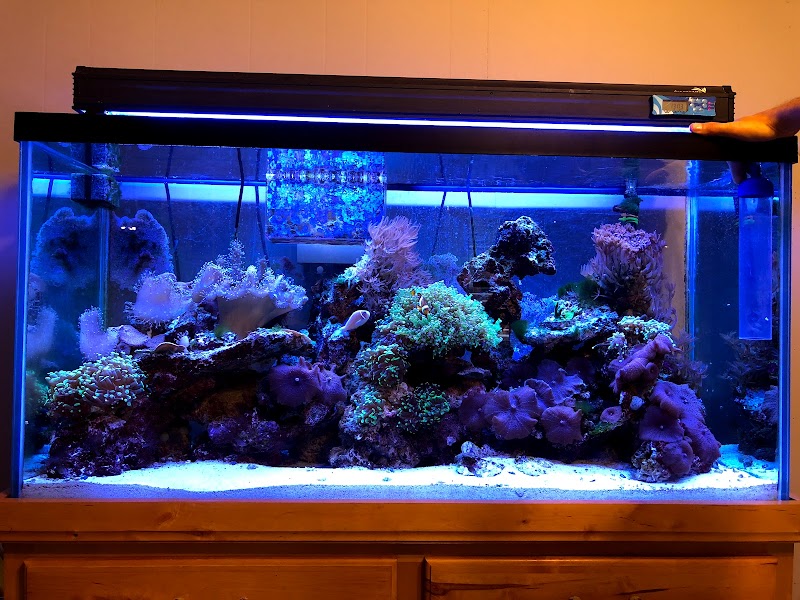 Pet Express Inc. - Photo 5