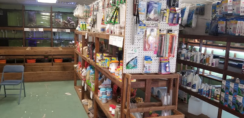 J & F Aquatics Exotics - Photo 2