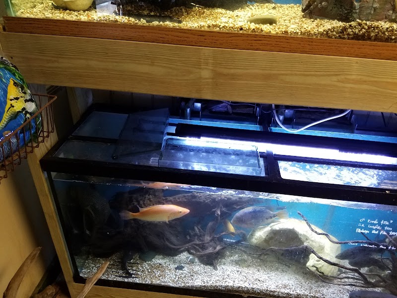 50 Fathoms Pet Shop - Photo 2