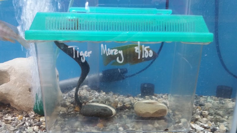 50 Fathoms Pet Shop - Photo 3