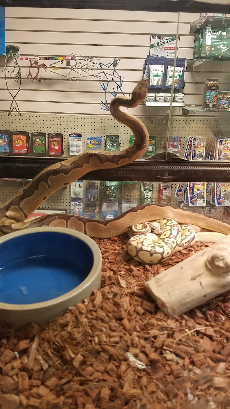 50 Fathoms Pet Shop - Photo 4