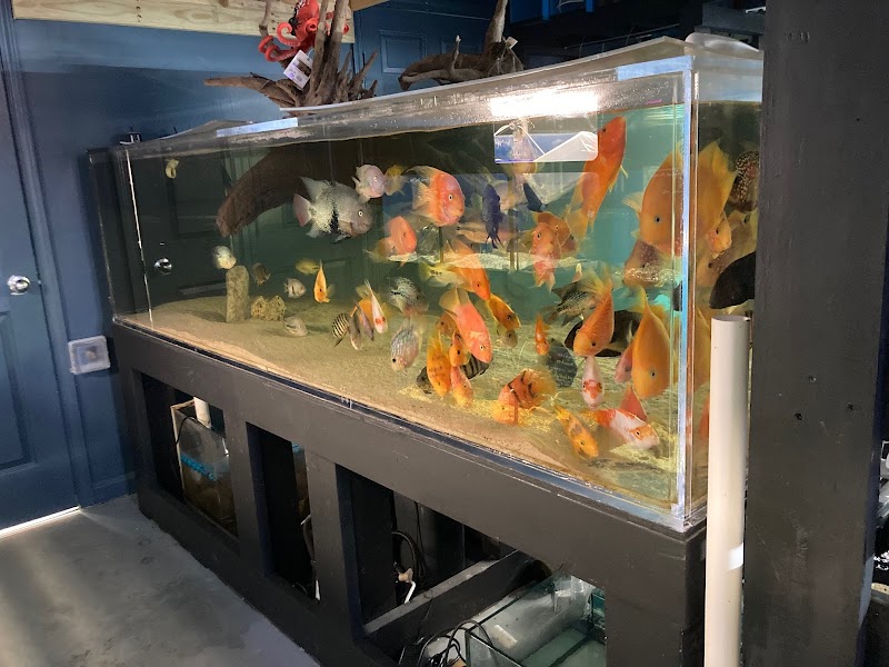 Aquatic Fish & Pets - Photo 4