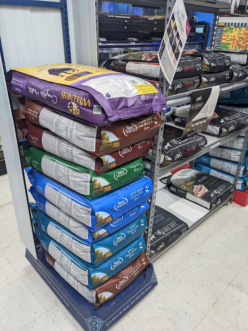 Coral Reef Pet Shop - Photo 3