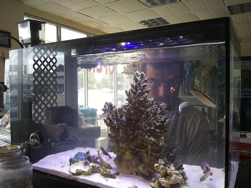 THE FISH TANK - Photo 1