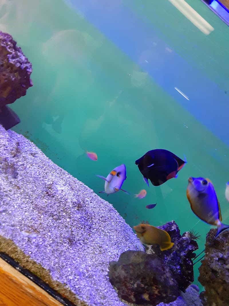 Aquatic Solutions - Photo 3