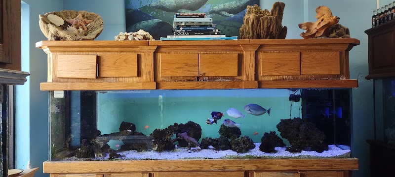 Aquatic Solutions - Photo 4