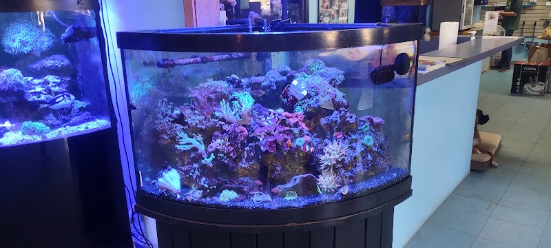 Aquatic Solutions - Photo 5