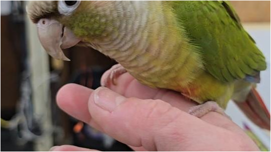 Animal House - Photo 2