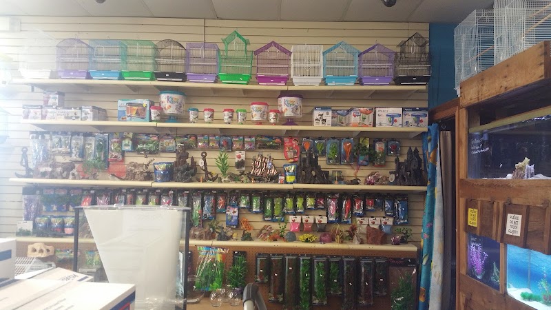 Steve's Pet Shop - Photo 1