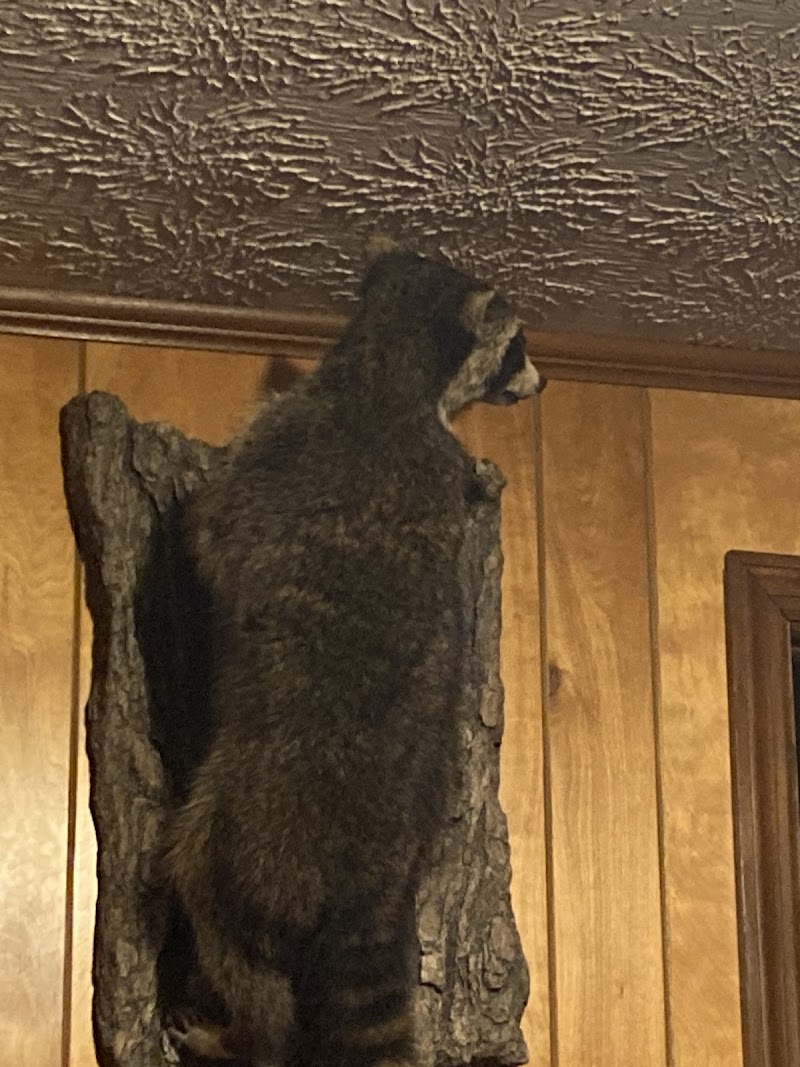 Steve's Pet Shop - Photo 5