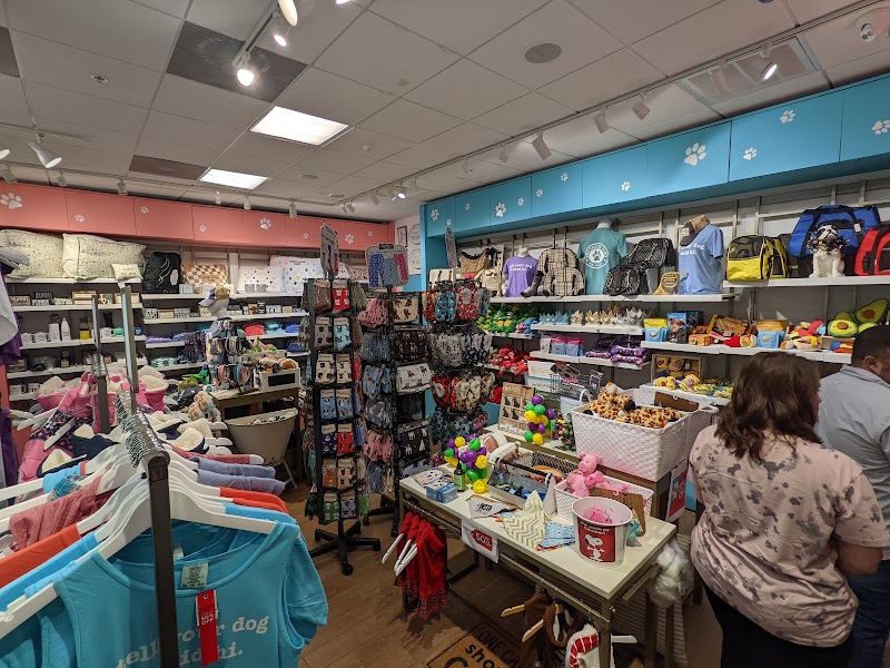 Southern Paws - Photo 2