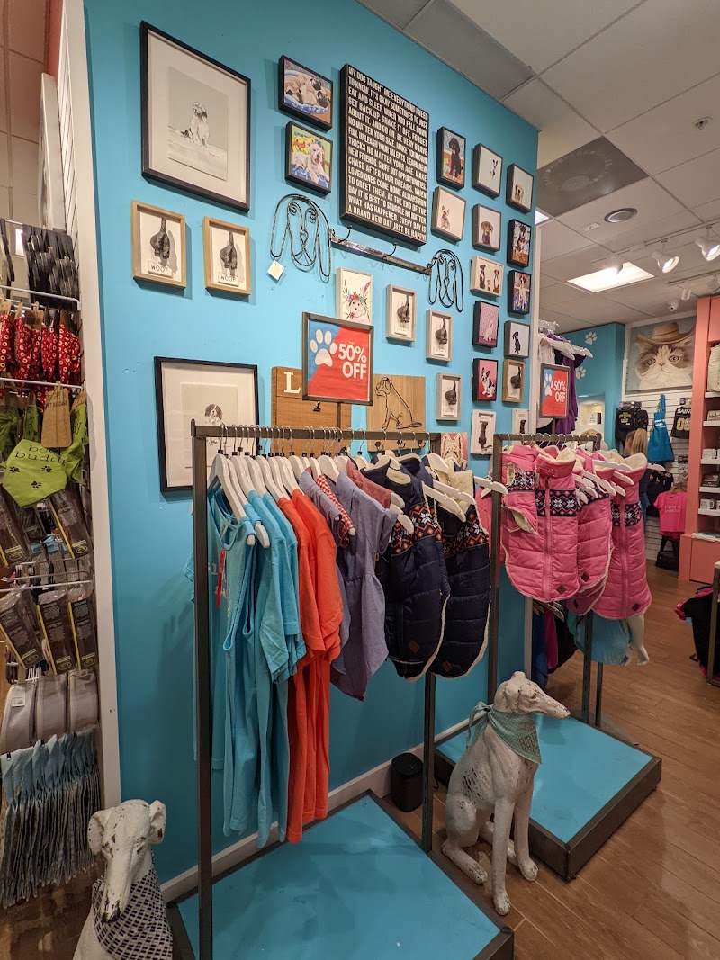 Southern Paws - Photo 4