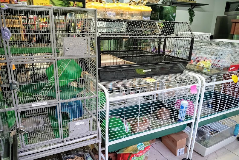 Delta Pet Center LLC - Photo 5