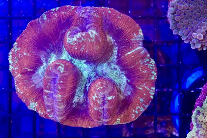 European Aquatics Inc. - Photo 2