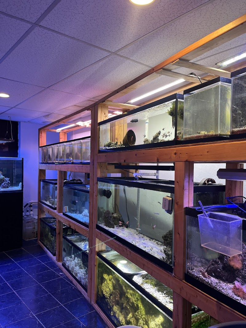 European Aquatics Inc. - Photo 3