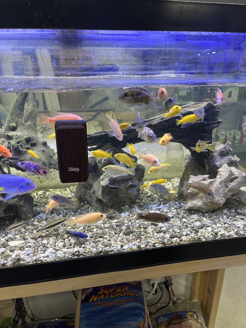 European Aquatics Inc. - Photo 5