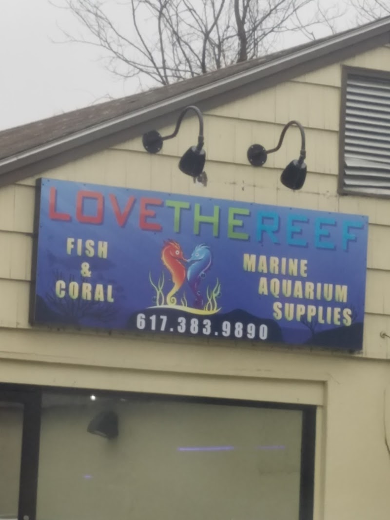 Love The Reef - Photo 1